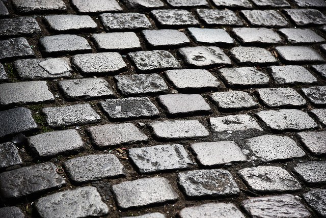 Tom Boonen won meerdere keren de kasseiklassieker Parijs-Roubaix. Aan zo’n momenten hecht ploegleider Tom Steels heel wat waarde: “Die emotie maakt de job de moeite waard.” (Foto: Dustin Gaffke, Flickr)