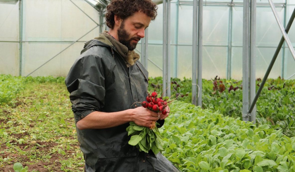 Bioboer Jan aan het werk op De Zonnekouter