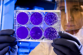 Onderzoek naar het coronavirus.
