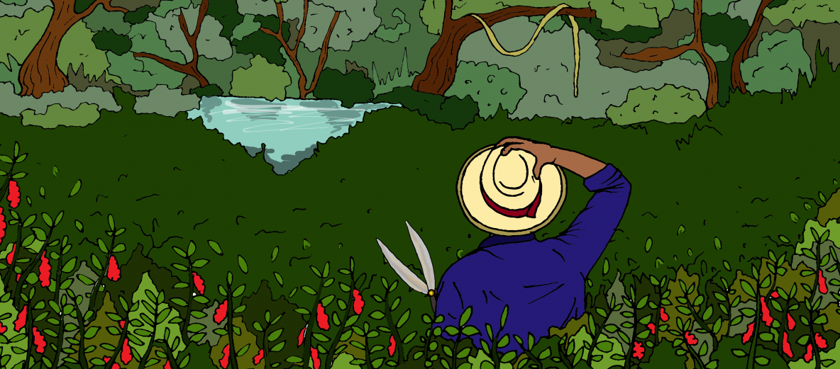 Costa Rican farmer